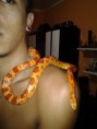 /album/pessoal-que-visita-o-jibaline-d/a883603-508377609198400-1221092206-o-jpg/
