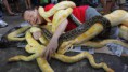 /album/pessoal-que-visita-o-jibaline-d/cobras-1-rts-jpg/